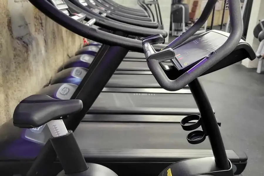 Cardio & Endurance Area at the gym
