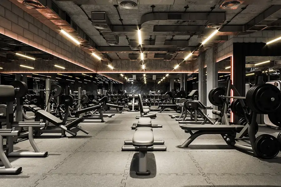 Free Weights Zone at the gym